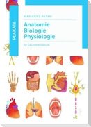 Plakate Anatomie - Biologie - Physiologie