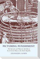 Picturing Punishment