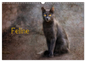 Feline (Wandkalender 2025 DIN A3 quer), CALVENDO Monatskalender