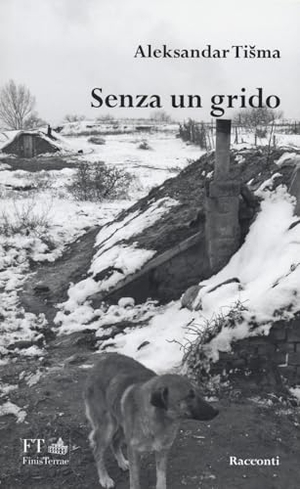 Tisma, Aleksandar. Senza un grido. FT - FinisTerrae, 2024.