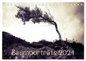 Baumporträts 2024 (Tischkalender 2024 DIN A5 quer), CALVENDO Monatskalender