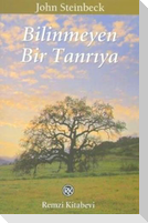 Bilinmeyen Bir Tanriya