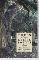 Trees of the Celtic Saints ? The Ancient Yews of Wales