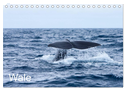 Wale (Tischkalender 2024 DIN A5 quer), CALVENDO Monatskalender