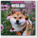 Shiba Inu 2027 - 16-Monatskalender