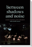 Between Shadows and Noise