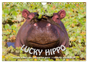 Emotional Moments: Lucky Hippo / UK-Version (Wall Calendar 2025 DIN A4 landscape), CALVENDO 12 Month Wall Calendar