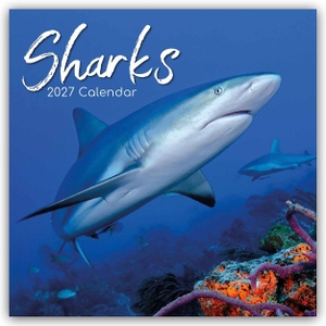 Gifted Stationery Co. Ltd. Sharks - Haie 2027 - 16-Monatskalender - Original Gifted Stationery-Kalender [Mehrsprachig] [Kalender]. Browntrout Verlags GmbH, 2026.