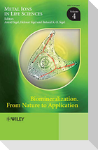 Biomineralization V 4