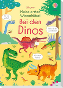 Meine ersten Wimmelrätsel: Bei den Dinos