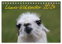 Lama-Kalender 2024 (Tischkalender 2024 DIN A5 quer), CALVENDO Monatskalender