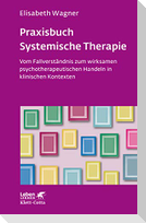 Praxisbuch Systemische Therapie (Leben Lernen, Bd. 313)