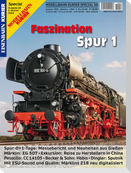 Faszination Spur 1 - Teil 36