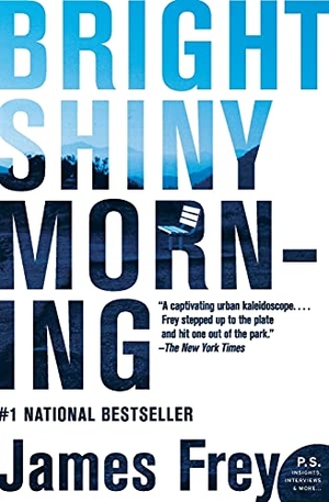 Frey, James. Bright Shiny Morning. Harper Perennial, 2009.