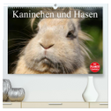 Kaninchen und Hasen (hochwertiger Premium Wandkalender 2025 DIN A2 quer), Kunstdruck in Hochglanz