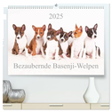 Bezaubernde Basenji-Welpen (hochwertiger Premium Wandkalender 2025 DIN A2 quer), Kunstdruck in Hochglanz