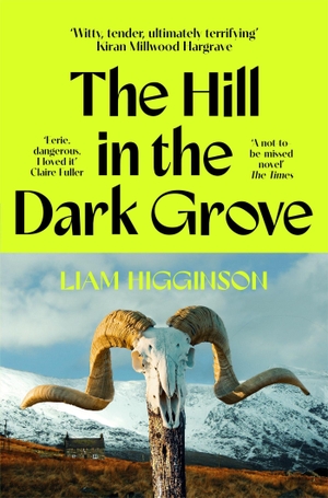 Higginson, Liam. The Hill in the Dark Grove. Pan Macmillan, 2026.