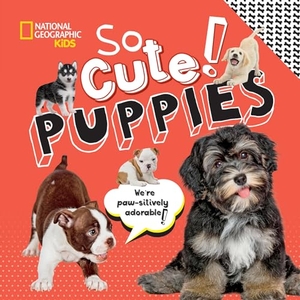 Boyer, Crispin. So Cute! Puppies. Disney - Rhcb, 2022.