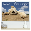 Löwen - Kleine Könige (hochwertiger Premium Wandkalender 2024 DIN A2 quer), Kunstdruck in Hochglanz
