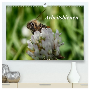 Kretschmann, Klaudia. Arbeitsbienen (hochwertiger Premium Wandkalender 2024 DIN A2 quer), Kunstdruck in Hochglanz - Bienen bei der Arbeit zu beobachten ist faszinierend. Überzeugen Sie sich selbst von ihrer Schönheit.. Calvendo Verlag, 2023.