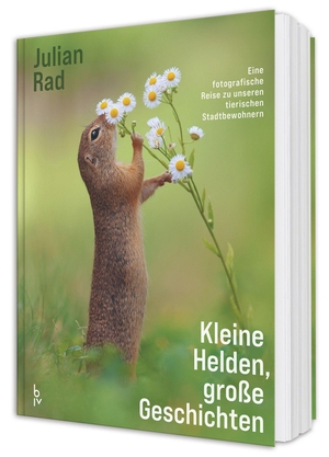 Rad, Julian / Angelika Lang. Kleine Helden - große Geschichten - Eine fotografische Reise in unsere Natur - Einzigartige Tier-Porträts und Wissenswertes zu Hamster, Feldmaus & Co.. BLV, 2026.
