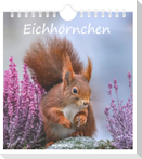Eichhörnchen 2027