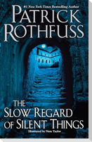 The Slow Regard of Silent Things