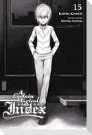 A Certain Magical Index, Vol. 15 (light novel)