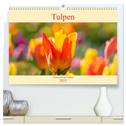 Tulpen - Feuerwerk der Farben (hochwertiger Premium Wandkalender 2025 DIN A2 quer), Kunstdruck in Hochglanz