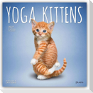 Yoga Kittens - Kätzchen Yoga 2027 - 16-Monatskalender