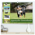 Appenzeller Sennenhunde - Fröhliche Kameraden (hochwertiger Premium Wandkalender 2024 DIN A2 quer), Kunstdruck in Hochglanz