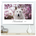 Herzenshunde 2024 (hochwertiger Premium Wandkalender 2024 DIN A2 quer), Kunstdruck in Hochglanz