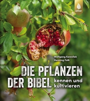 Kawollek, Wolfgang / Henning Falk. Die Pflanzen der Bibel - kennen und kultivieren. Ulmer Eugen Verlag, 2020.