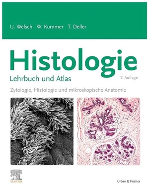 Welsch, Ulrich / Kummer, Wolfgang et al. Histologie - Lehrbuch und Atlas - Zytologie, Histologie und mikroskopische Anatomie. Urban & Fischer/Elsevier, 2026.