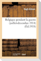 Belgique Pendant La Guerre (Juillet-Décembre 1914)