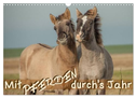 Mit Pferden durch´s Jahr (Wandkalender 2025 DIN A3 quer), CALVENDO Monatskalender