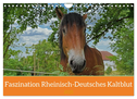Faszination Rheinisch-Deutsches Kaltblut (Wandkalender 2025 DIN A4 quer), CALVENDO Monatskalender