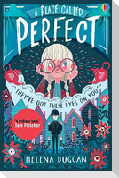 A Place Called Perfect 01