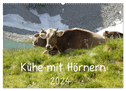 Kühe mit Hörnern (Wandkalender 2024 DIN A2 quer), CALVENDO Monatskalender