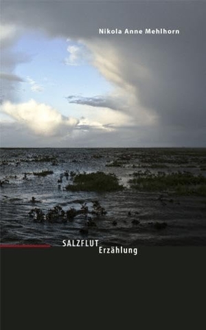 Mehlhorn, Nikola Anne. Salzflut - Erzählung. Nachttischbuch-Verlag, 2010.