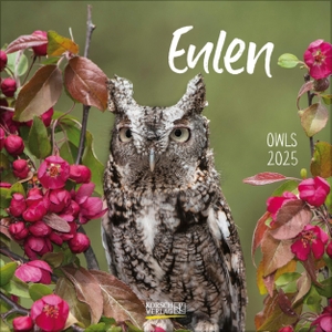 Korsch, Verlag (Hrsg.). Eulen 2025 - Broschürenkalender mit Ferienterminen. Eulen, Jäger der Nacht. 30 x 30 cm. Korsch Verlag GmbH, 2024.