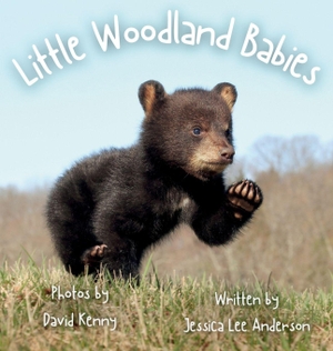 Anderson, Jessica Lee. Little Woodland Babies. Ao Press, 2026.
