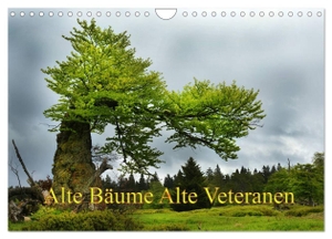 Bäume Alte Veteranen, Alte. Alte Bäume Alte Veteranen (Wandkalender 2024 DIN A4 quer), CALVENDO Monatskalender - Unsere Beziehung zum Baum ist tief verwurzelt. Calvendo Verlag, 2023.