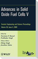 CESP V30 Issue 4