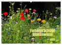 Farbenprächtige Blumenwiese (Wandkalender 2025 DIN A2 quer), CALVENDO Monatskalender