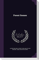 Forest Scenes
