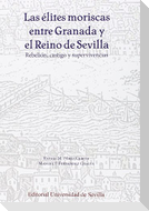 Las élites moriscas entre Granada y el reino de Sevilla : rebelión, castigo y supervivencias