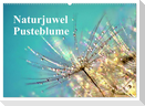 Naturjuwel Pusteblume (Wandkalender 2024 DIN A2 quer), CALVENDO Monatskalender
