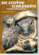 Steppenschildkröte