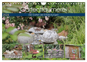 Gartenträumerei (Wandkalender 2024 DIN A4 quer), CALVENDO Monatskalender